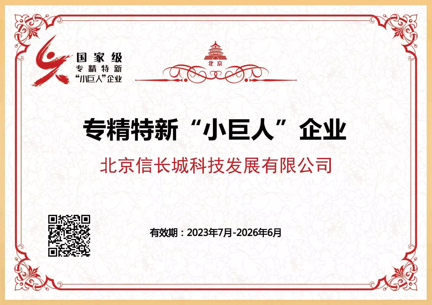 国家级专精特新小巨人企业
